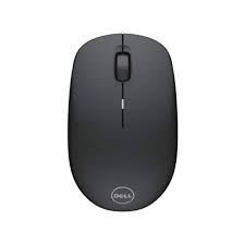 Standard mouse